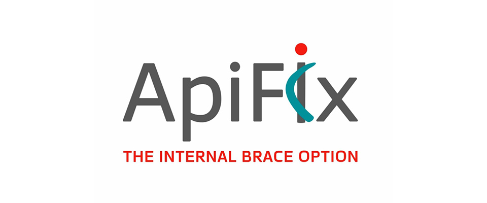 6-APIFIX