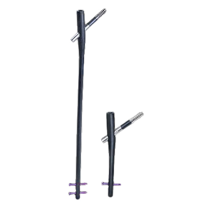 Clavo Fémur Proximal